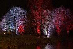 Освещение мероприятий