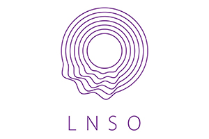 Latvijas Nacionālais simfoniskais orķestris, VSIA