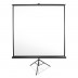 Video projektora ekrāns | 2×2 m